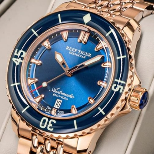 Reef-1