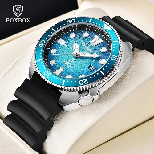 Foxbox submariner turtle
