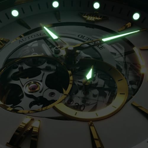 Oupinke 21 Jewel Automatic - Image 6
